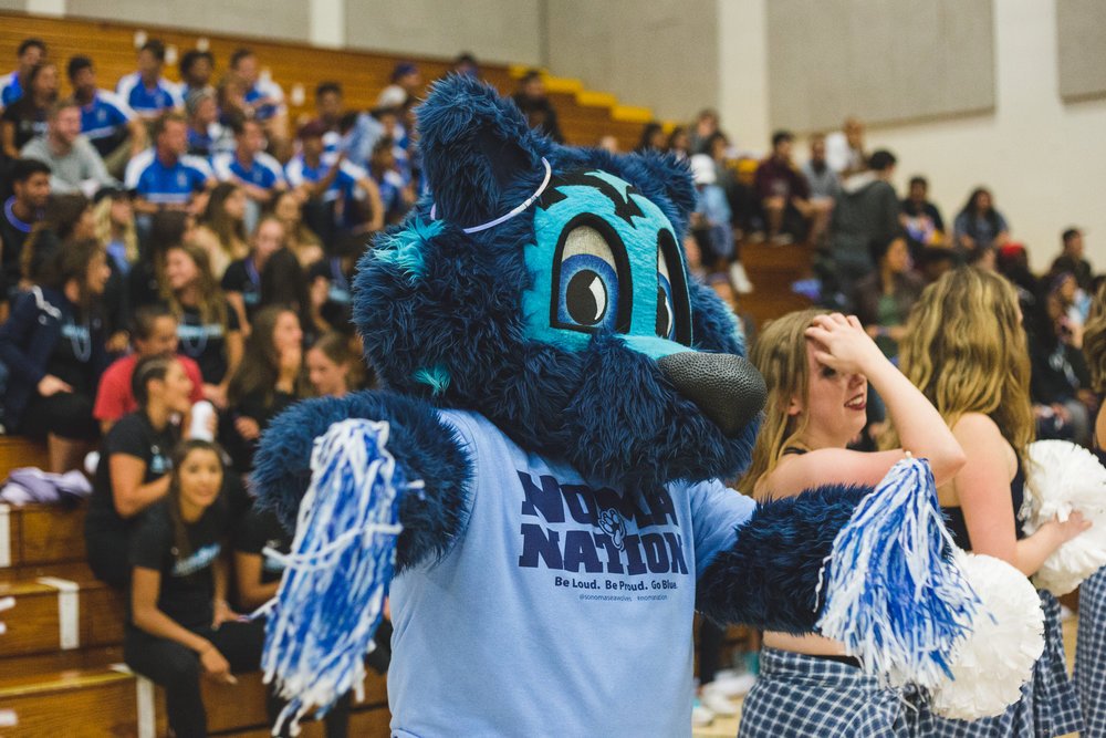 The Lobo mascot cheering with blue pom-poms at an indoor sports game