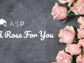 ASP 'A Rose For You' graphic featuring a bouquet of pink roses 