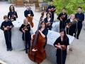 young people's chamber orchestra