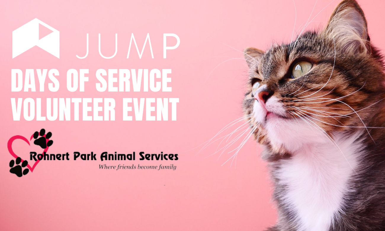 The ASP 'Days of Service Volunteer Event' graphic featuring a brown and white cat