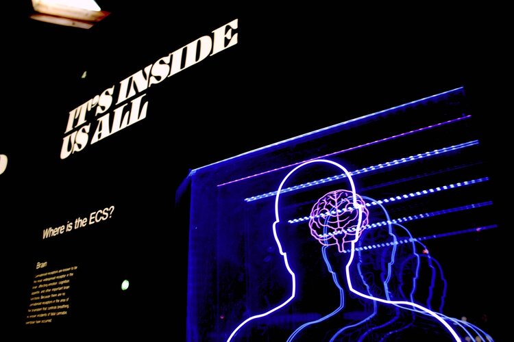 A museum display of brain activity featuring an outline of a person and their brain using purple lights and the words "It's Inside Us All"