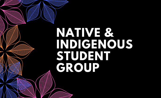 Native American and Indigenous Student Group