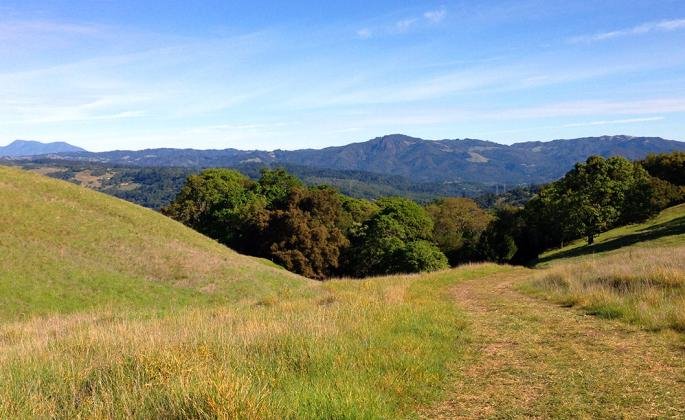 View of Sonoma Mountain