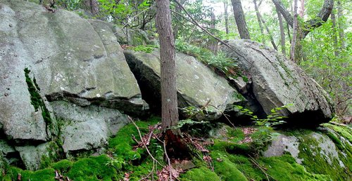 Osborn Preserve boulders