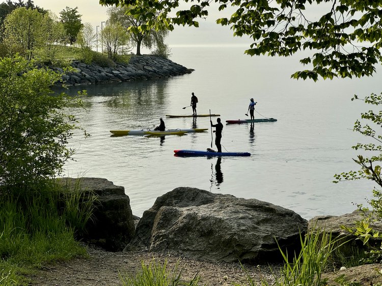 People paddleboarding on a body of water 