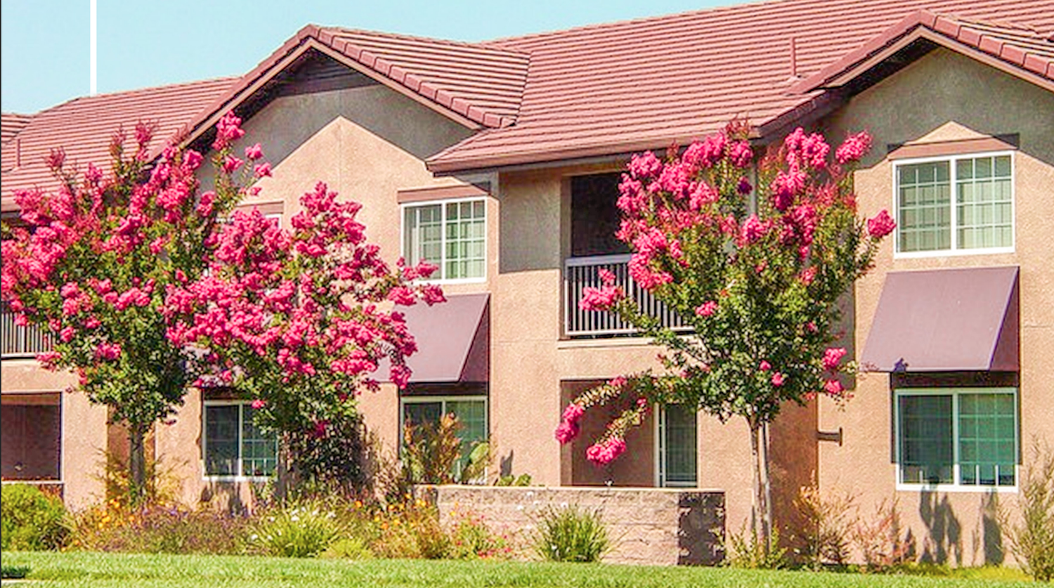 Some SSU Residential Community buildings with blooming trees around them