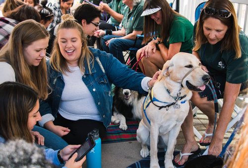Students petting a therapy dog 