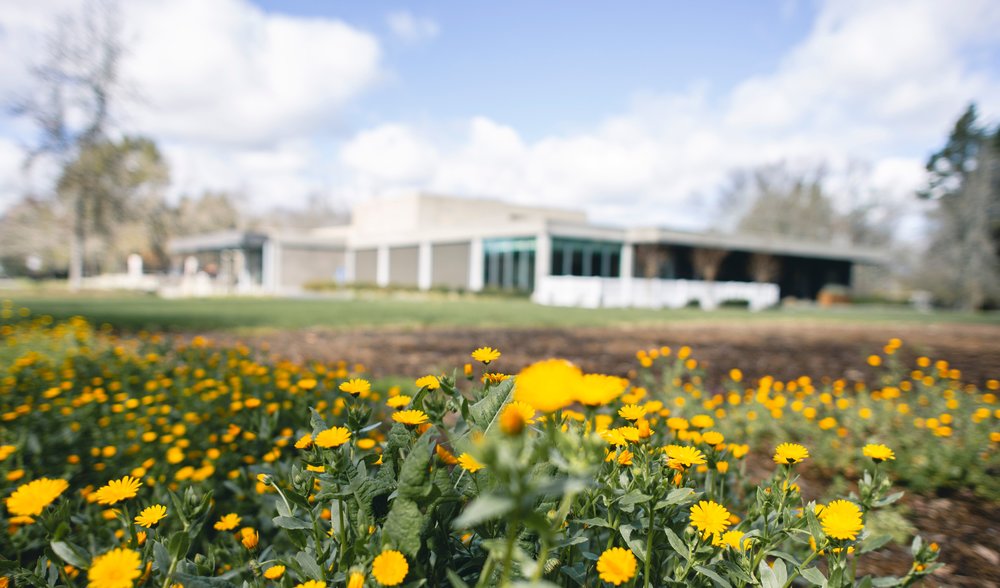 Yellow flowers in front of Wine Center building 