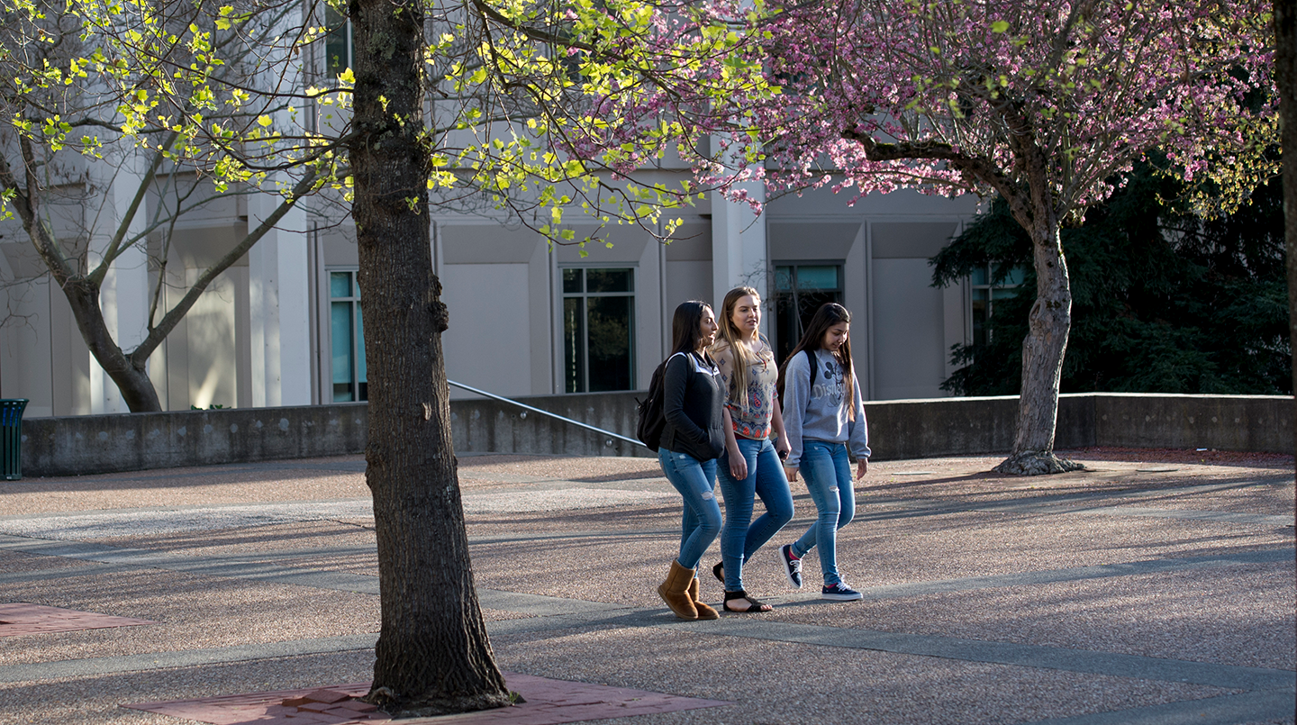 Three student walk outdoors under tree trees with green and pink foliage