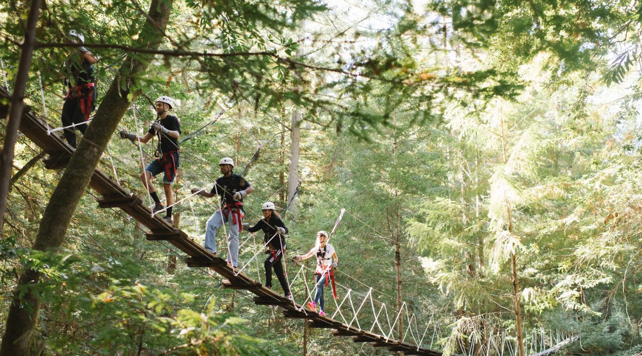 Group of friends ziplining through the redwoods