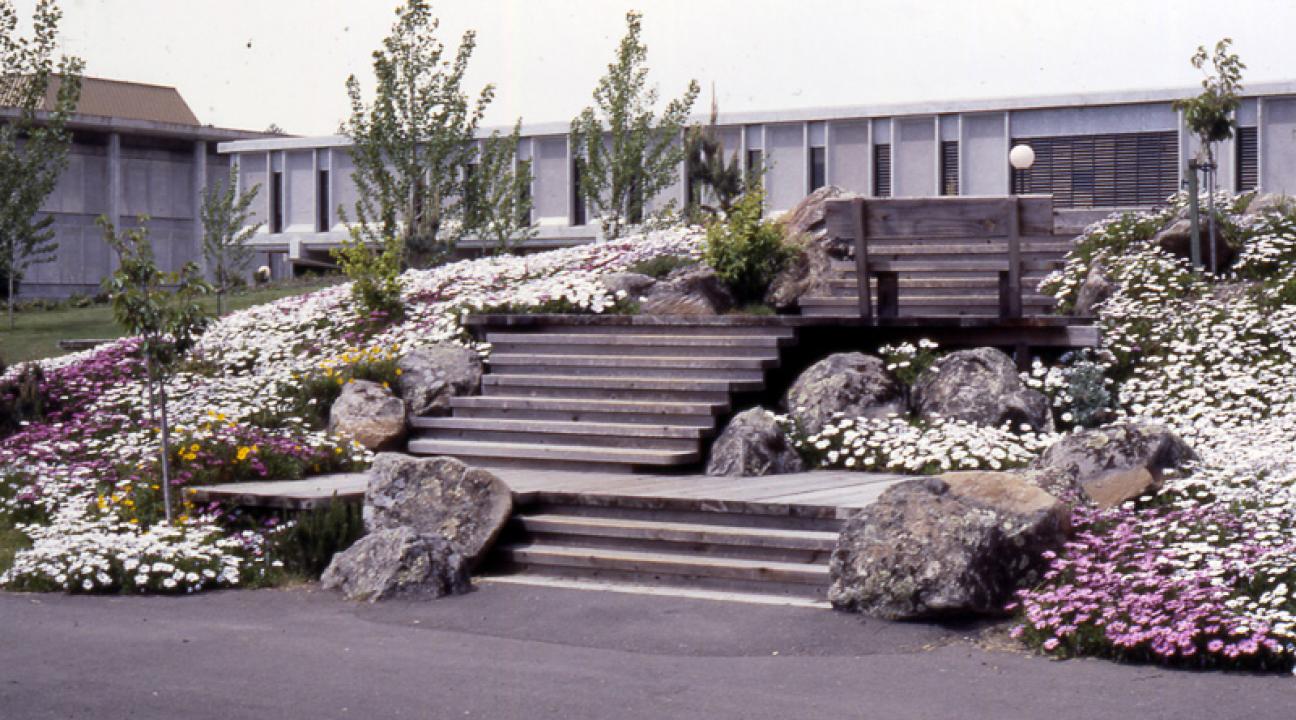 Stairs next to Ives Hall