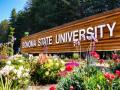 Sonoma State University sign 