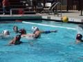 A group of women in a swimming pool playing water polo