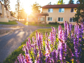 Cabernet Village buildings