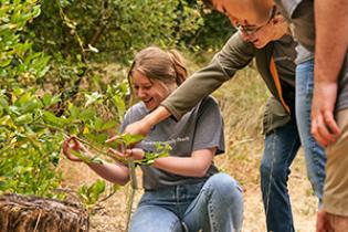 group examines tree branch