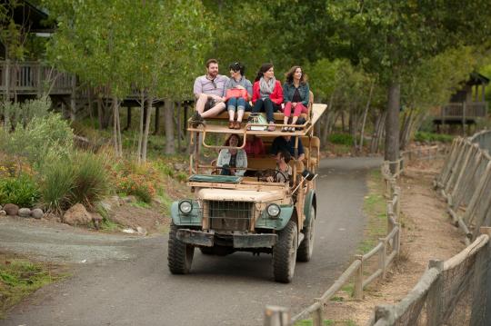 Family on a safari ride at Safari West in Santa Rosa