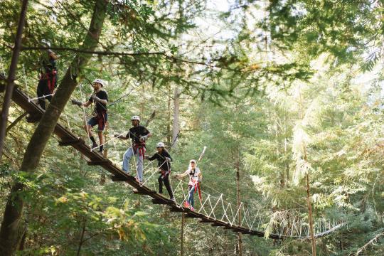 Group of friends ziplining through the redwoods