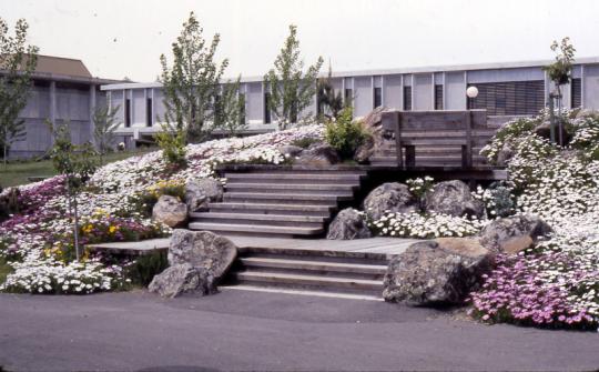 Stairs next to Ives Hall